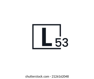 l53域名t